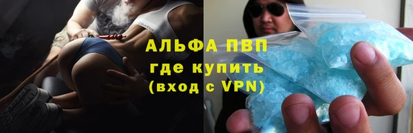 прущие грибы Дегтярск