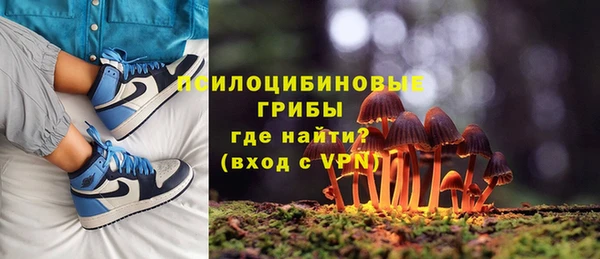 spice Пестово