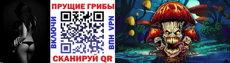 Галлюциногенные грибы прущие грибы  купить наркотики сайты  Кяхта 